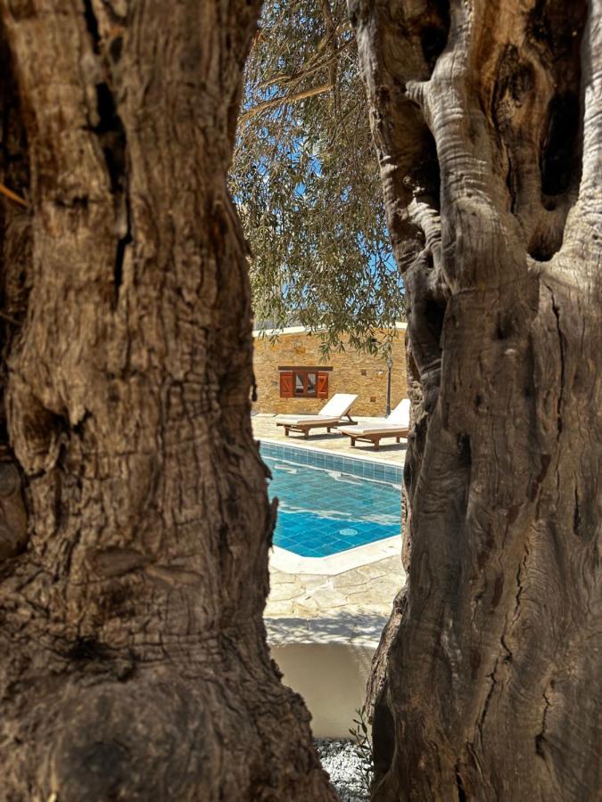 Aparthotel Stone Court Boutique *